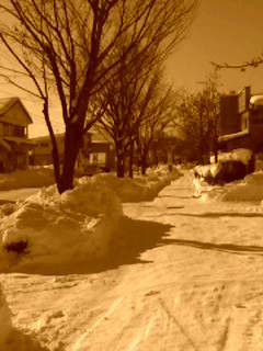 051230_1014~001.jpg